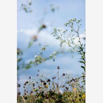 内山慎也が撮影した商品/物撮りの写真
