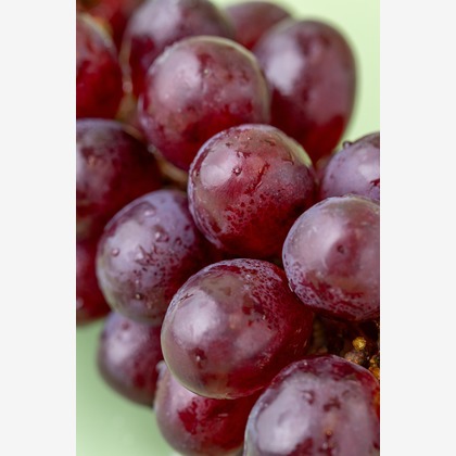 Hiroが撮影した「スタジオ、出張撮影」の写真