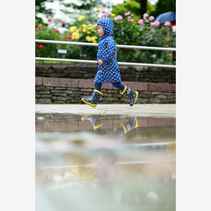 和Photographが撮影した「:albumName」の写真