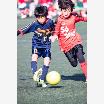 PHOTO 笑福が撮影した「:albumName」の写真