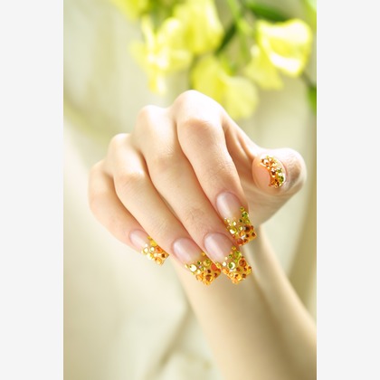 明石　九三（あかし　きゅうぞう）が撮影した「:albumName」の写真