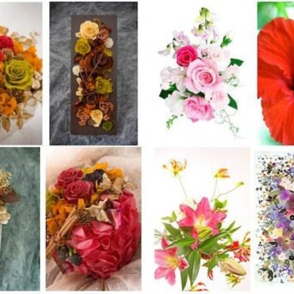 オーロラスタジオが撮影した「:albumName」の写真