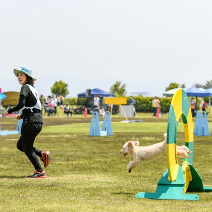 スタジオファンタスが撮影した「:albumName」の写真