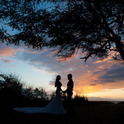 Photo of :albumName taken by Willow Photo