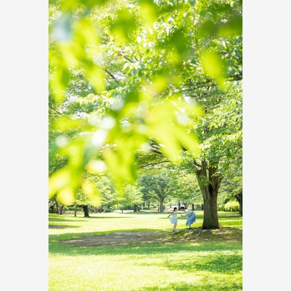 大森光太郎・K-PHOTOが撮影した「:albumName」の写真