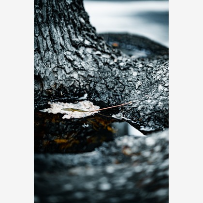 堀内 陽希が撮影したイベント/スナップ撮影の写真