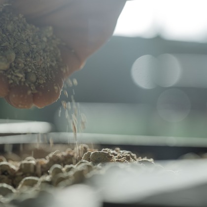 小田映像制作事務所が撮影した「:albumName」の写真