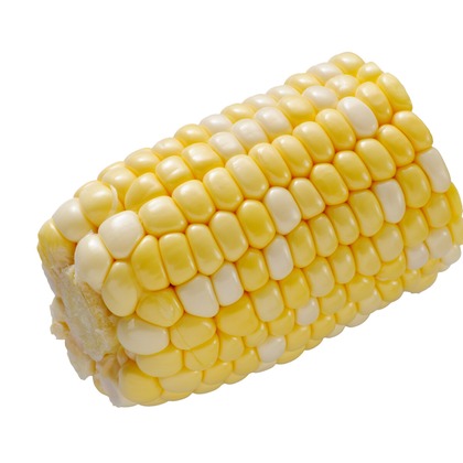 SEE LIKE PHOTOが撮影したウェディングや家族、ビジネスの写真