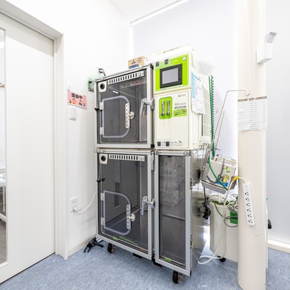 吉田佳央が撮影した「:albumName」の写真