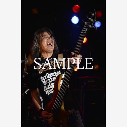 TOKOが撮影したイベント/スナップ撮影の写真