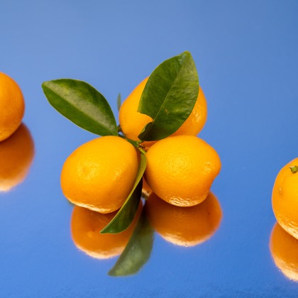 荻原　祐之が撮影した商品/物撮りの写真