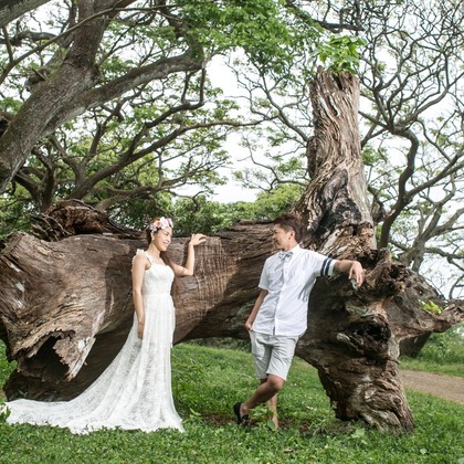 2cconcept (梅田福夫)が撮影したウェディングや家族、ビジネスの写真