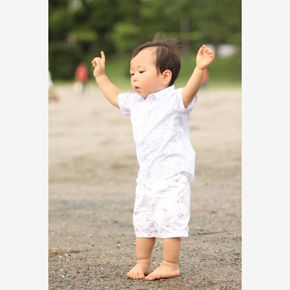 今井写真事務所　今井　良が撮影した「:albumName」の写真