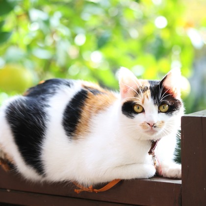 森安　照が撮影した「:albumName」の写真