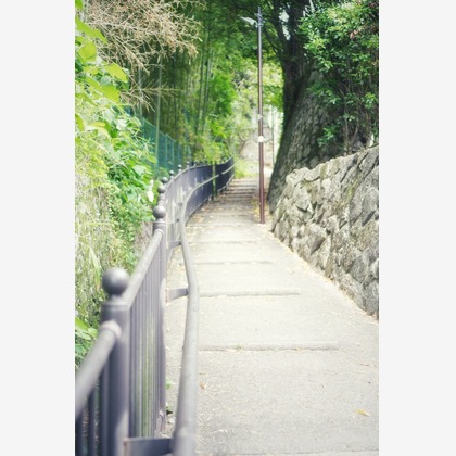 hide_photographerが撮影した「:albumName」の写真