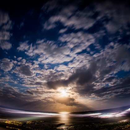 マニス ウェディングが撮影した「:albumName」の写真