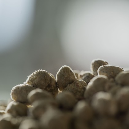 小田映像制作事務所が撮影した「:albumName」の写真