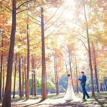 Photo of  taken by Wedding Howl 