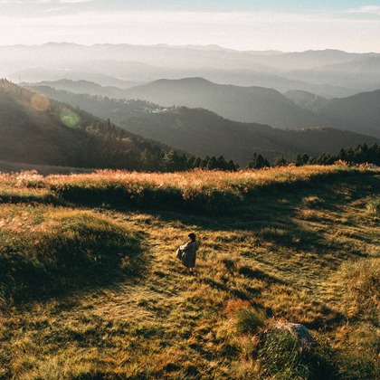 西浦隼翔が撮影した「:albumName」の写真