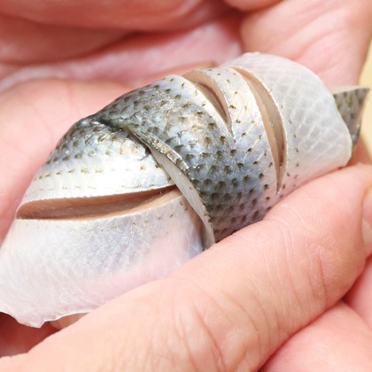 森安　照が撮影した「:albumName」の写真