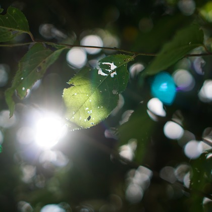 出張撮影のメモリーズが撮影した「:albumName」の写真