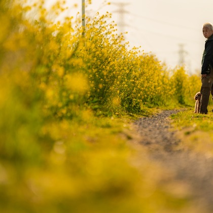 なかむーフォトが撮影した家族写真の出張撮影の写真