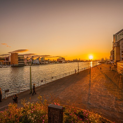 高木勇斗が撮影した「:albumName」の写真