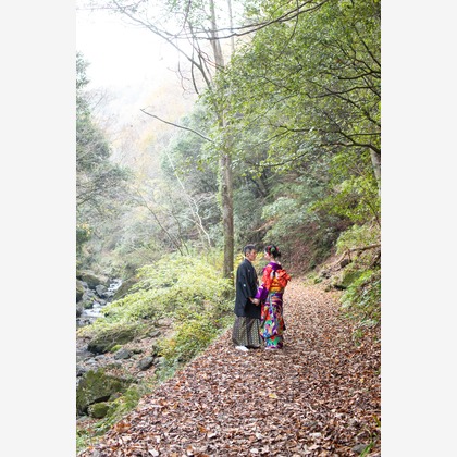 saruco(岩崎寿）が撮影した「:albumName」の写真