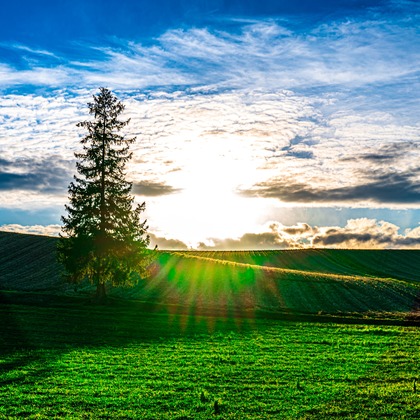 高木勇斗が撮影したその他の写真
