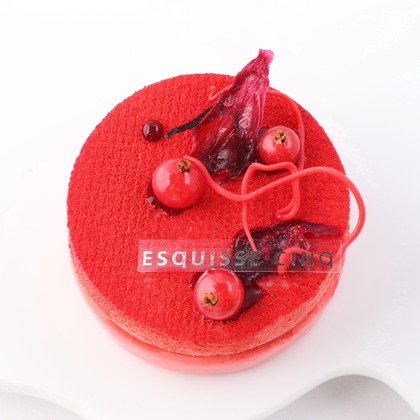 森安　照が撮影した「:albumName」の写真