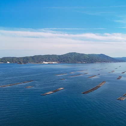 心綴フィルムが撮影した店舗/オフィス/サロン撮影の写真