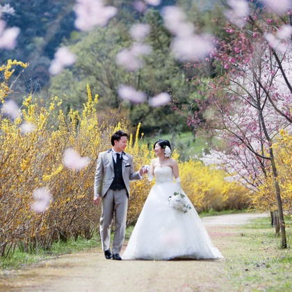 KIKIウェディングが撮影した「花の駅公園」の写真