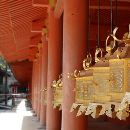 えむあんりみてっどが撮影したウェディングや家族、ビジネスの写真