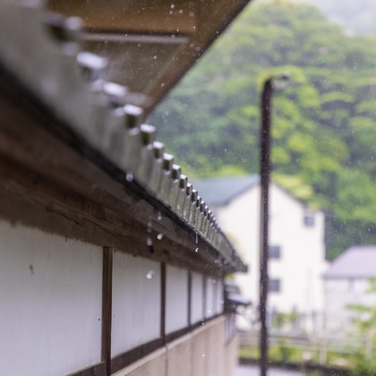 フォトオフィス　ルミエが撮影した「:albumName」の写真