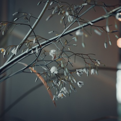 堀内 陽希が撮影したイベント/スナップ撮影の写真