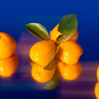 荻原　祐之が撮影した商品/物撮りの写真