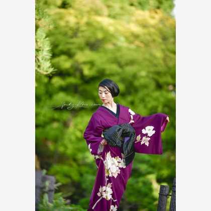 Andy Khoが撮影した「:albumName」の写真