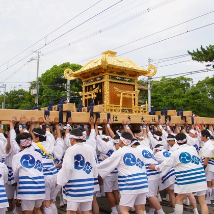 河野慈圓が撮影した「:albumName」の写真