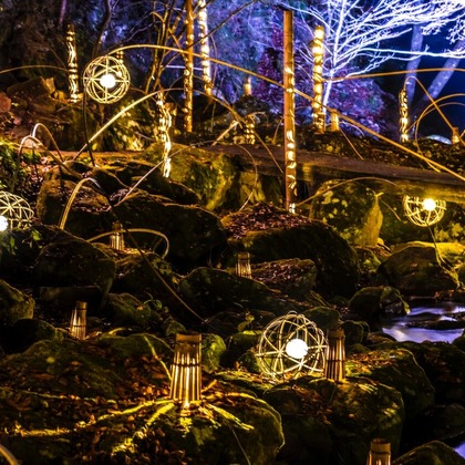 リトルダイナソーが撮影したその他/イベント/スナップ撮影の写真