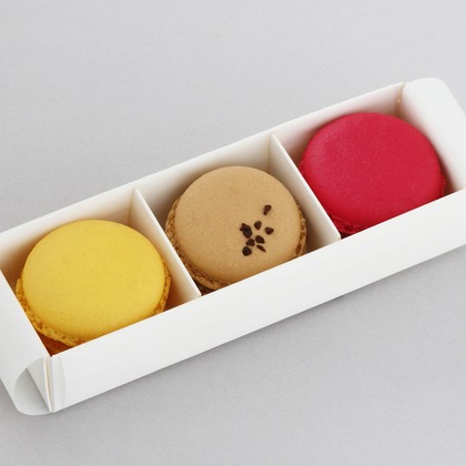 森安　照が撮影した「:albumName」の写真