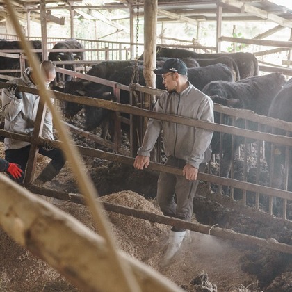 studio cactusが撮影した「:albumName」の写真