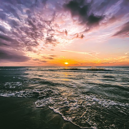 岡田　哲昇が撮影したその他/イベント/スナップ撮影の写真