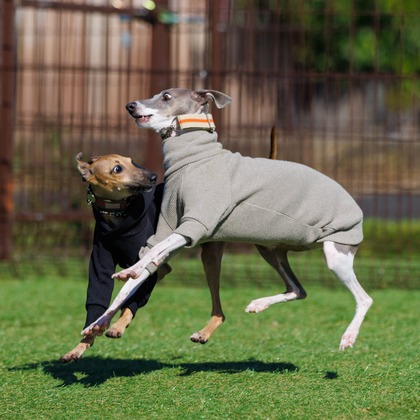 T.Matsumuraが撮影したイベント/スナップ撮影の写真