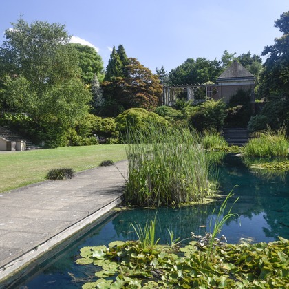 Lucky Sliver Sixpenceが撮影した「プラン名：Romantic Park(ロケーション参考写真）」の写真