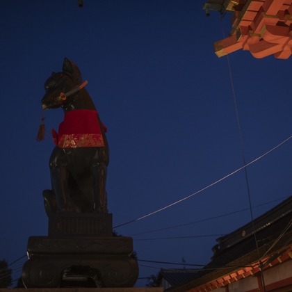 松見　翠が撮影した「:albumName」の写真