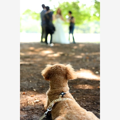 Wedding, Bridal Photos taken by ecoo