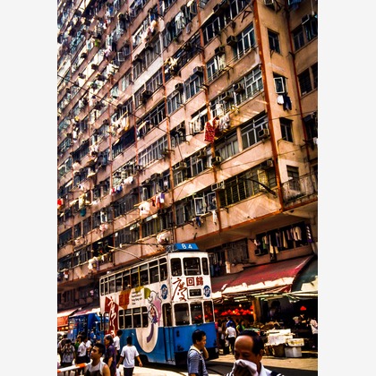 有光こうじ写真事務所が撮影した「:albumName」の写真