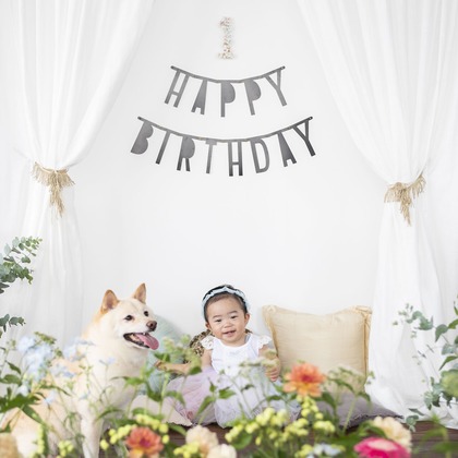 Hamuこども写真館が撮影した「:albumName」の写真