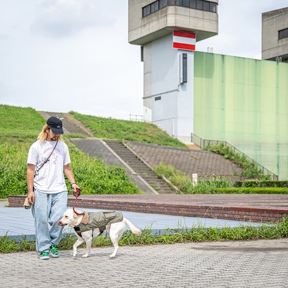 吉田佳央が撮影した「DOG SHOOTING」の写真