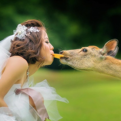 Photo of :albumName taken by 2 of us photography